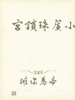 宫锁珠帘小说