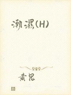 潮湿(H)封面