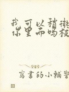 我可以稍微放进你里面吗校园版封面