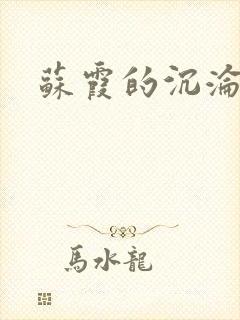 苏霞的沉沦封面