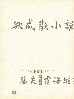 欲成欢小说封面