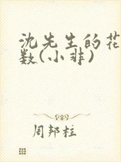 沈先生的花式调数(小非)