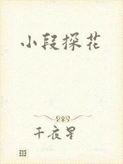 小段探花