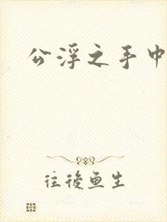 公浮之手中字5