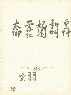 太子妃和皇帝在御花园叫什么小说