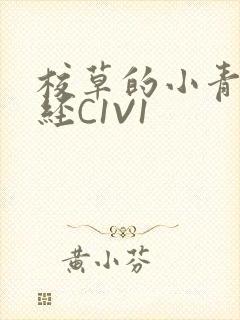 校草的小青梅不经C1V1