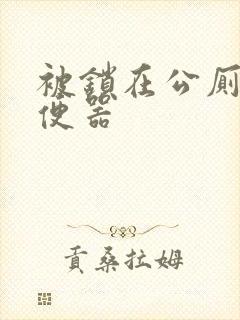 被锁在公厕当坐便器