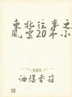 东北往事之黑道风云20年小说