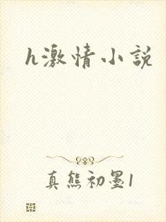 h激情小说