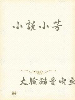 小说小芳封面