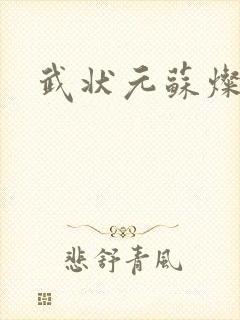 武状元苏灿