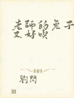 老师的兔子又大又好吃封面