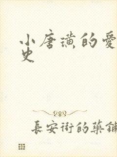小唐璜的爱情历史封面
