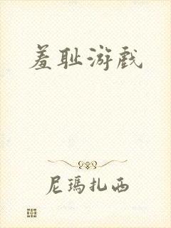 羞耻游戏封面