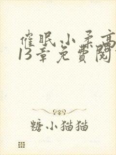 催眠小柔高达第13章免费阅读