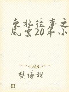 东北往事之黑道风云20年小说下载