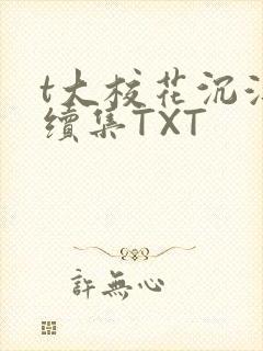 t大校花沉浮录续集TXT封面