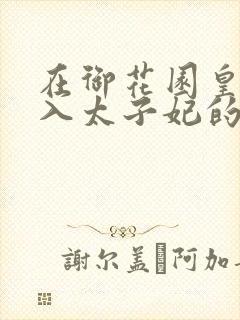 在御花园皇上进入太子妃的小说