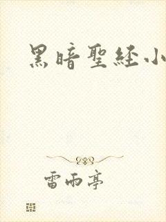 黑暗圣经小说