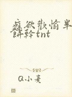 瘾欲欢愉半块小饼干tnt