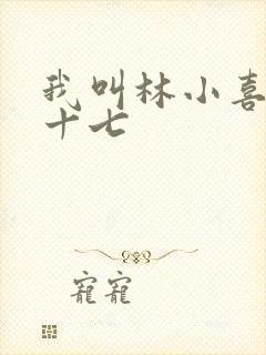 我叫林小喜今年十七封面