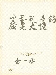 完蛋我养的小白脸是大佬