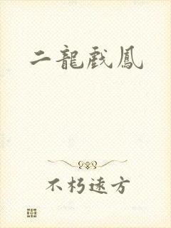 二龙戏凤