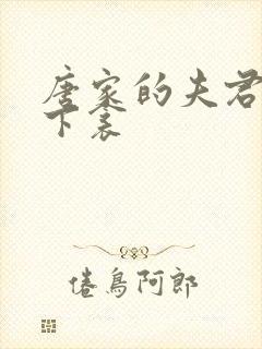 唐家的夫君们帘下衾