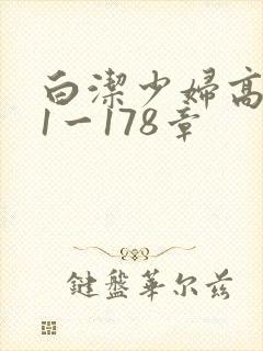 白洁少妇高义第1一178章