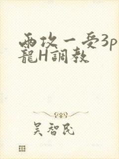 两攻一受3p双龙H调教