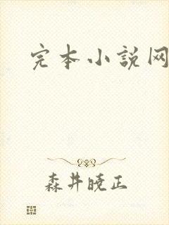 完本小说网