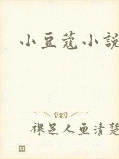 小豆蔻小说封面