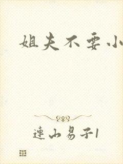 姐夫不要小说