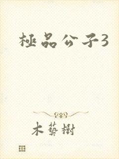 极品公子3