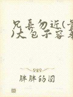 兄长勿近(骨科)大包子容华