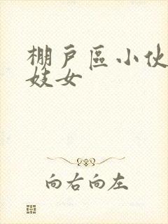 棚户区小伙嫖老妓女封面