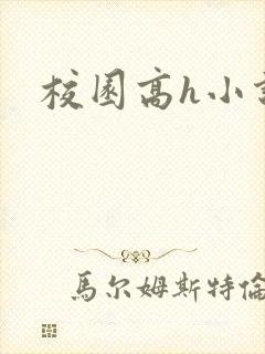 校园高h小说