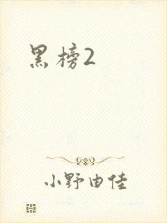 黑榜2封面