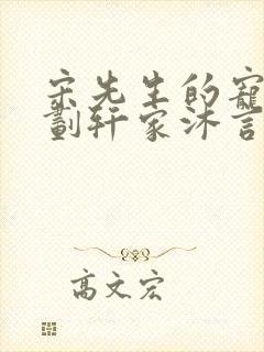 宋先生的宠妻计划轩家沐言