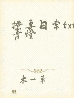 撩妻日常txt青灯封面