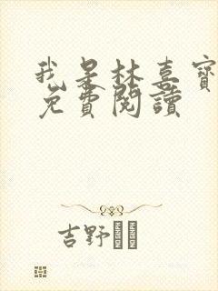 我是林喜宝小说免费阅读