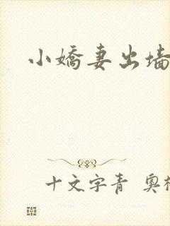 小娇妻出墙记