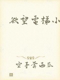 欲望电梯小说