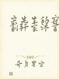 宋先生的宠妻计划轩家沐言封面