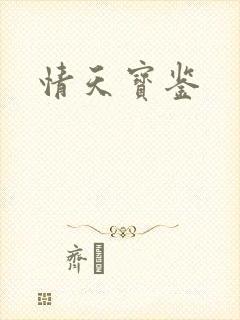 情天宝鉴封面
