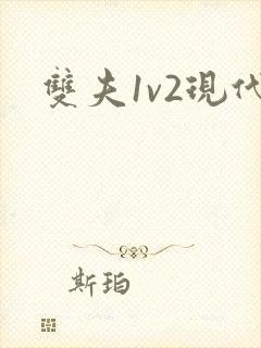 双夫1v2现代
