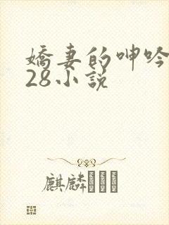 娇妻的呻吟1—28小说