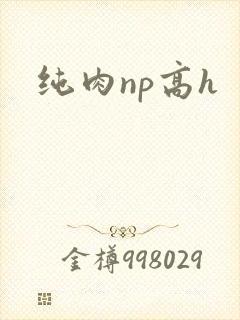 纯肉np高h