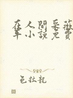在人间采薇陆三平小说免费阅读