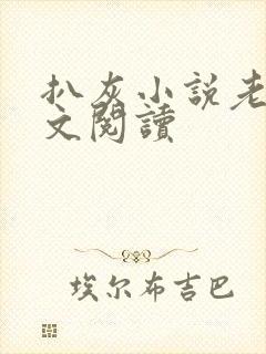 扒灰小说老马全文阅读